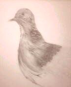 nin_000140.jpg ( 3 KB )