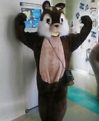 nin_000340.jpg ( 6 KB )